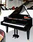 Flügel-Bösendorfer-170-schwarz-19525-1-b